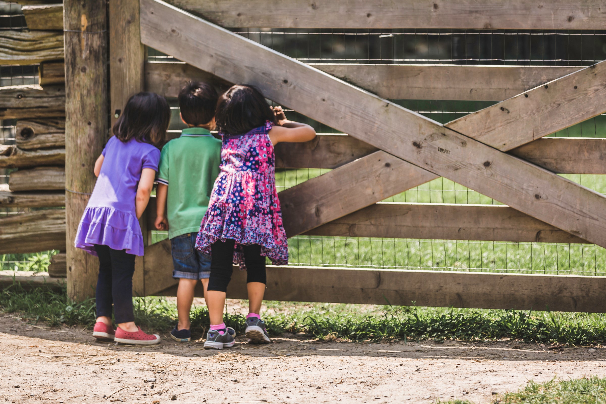 Made For Little Adventures